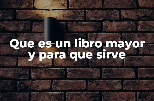 Que es un Libro Mayor y para que Sirve