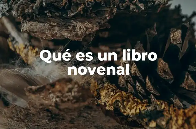 Qué es un Libro Novenal