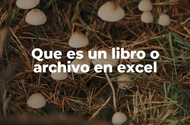 Que es un Libro o Archivo en Excel
