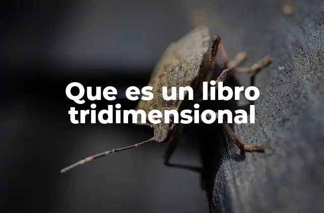Que es un Libro Tridimensional