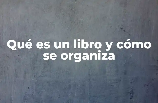 Qué es un Libro y Cómo Se Organiza