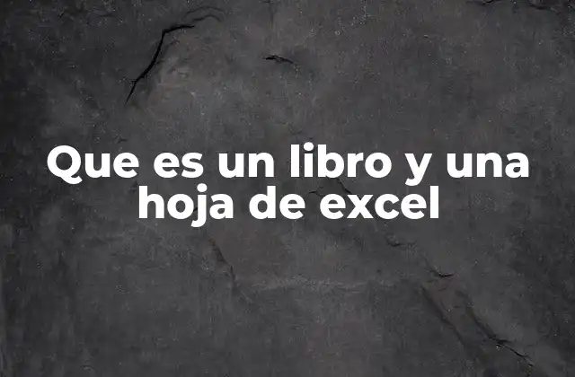 Que es un Libro y una Hoja de Excel