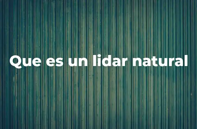 Que es un Lidar Natural