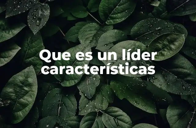 Que es un Líder Características