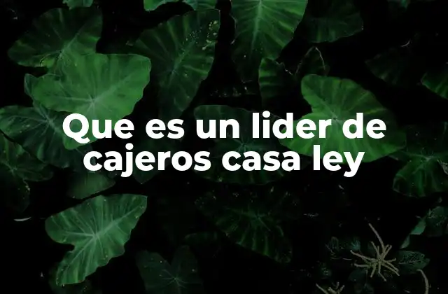 Que es un Lider de Cajeros Casa Ley