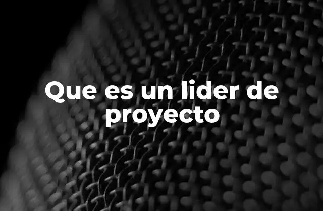 Que es un Lider de Proyecto