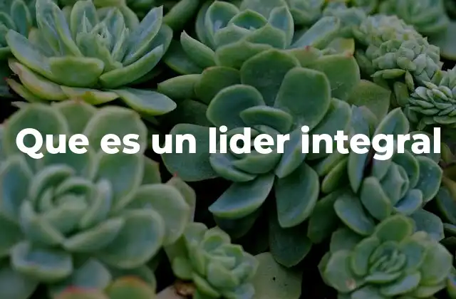 Que es un Lider Integral
