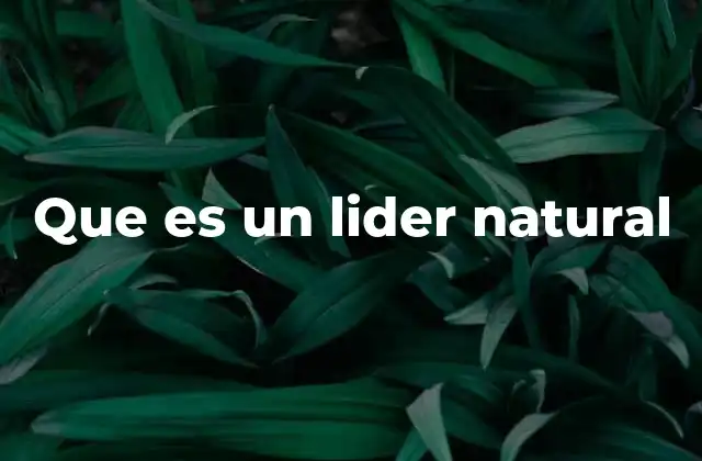 Que es un Lider Natural