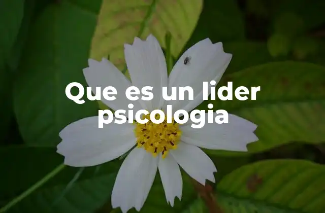 Que es un Lider Psicologia 2 Las bases psicológicas del liderazgo efectivo