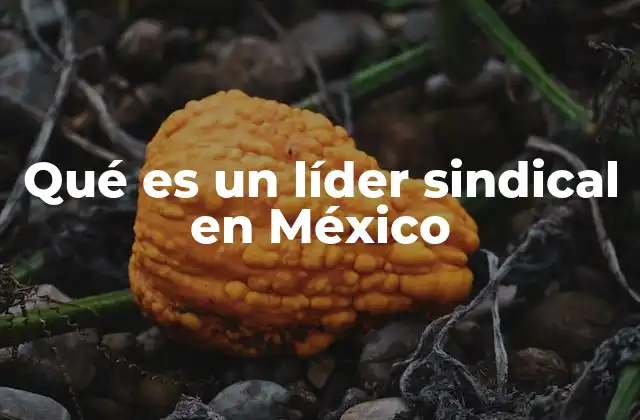 Qué es un Líder Sindical en México