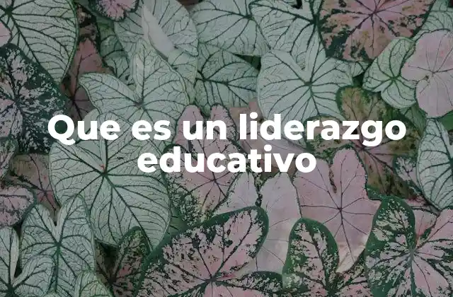 Que es un Liderazgo Educativo 2 La importancia de una visión compartida en la gestión educativa