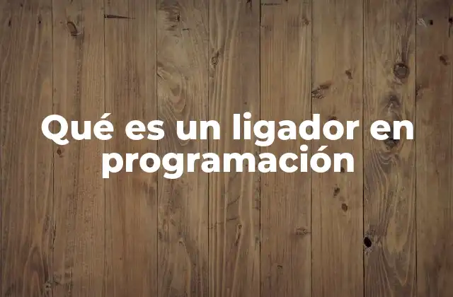 Qué es un Ligador en Programación