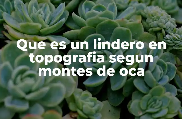 Que es un Lindero en Topografia Segun Montes de Oca