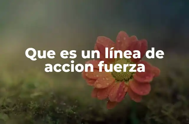 Que es un Línea de Accion Fuerza