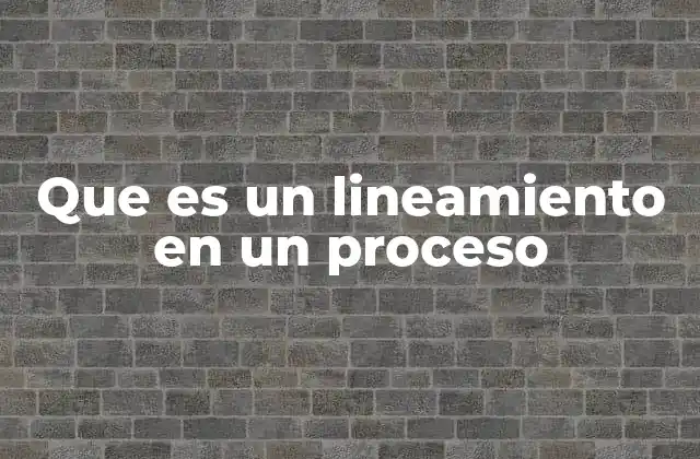 Que es un Lineamiento en un Proceso