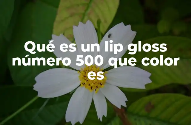 Qué es un Lip Gloss Número 500 que Color es