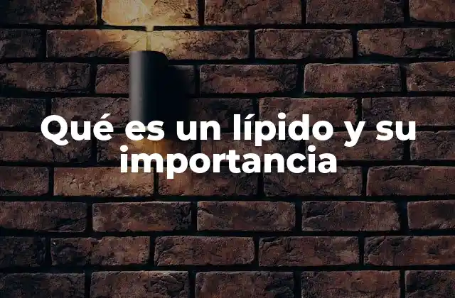 Qué es un Lípido y Su Importancia