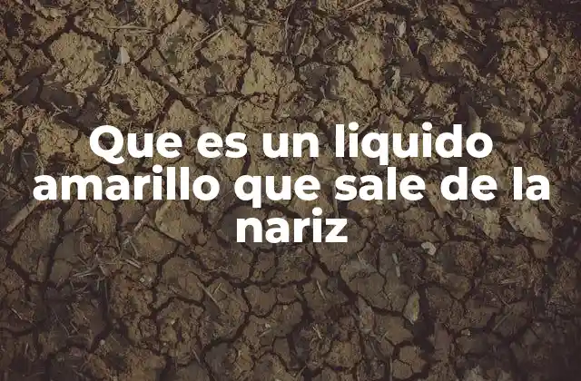 Que es un Liquido Amarillo que Sale de la Nariz
