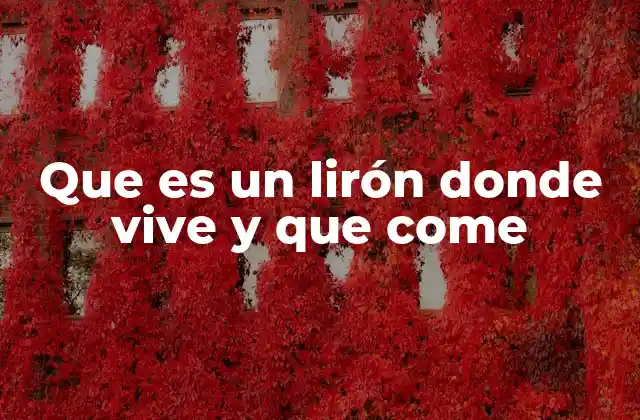 Que es un Lirón Donde Vive y que Come