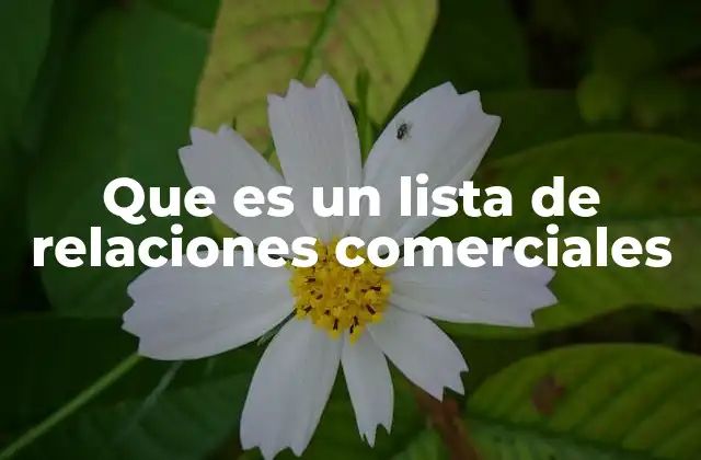 Que es un Lista de Relaciones Comerciales