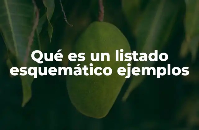 Qué es un Listado Esquemático Ejemplos