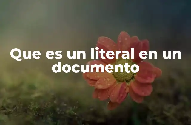 Que es un Literal en un Documento