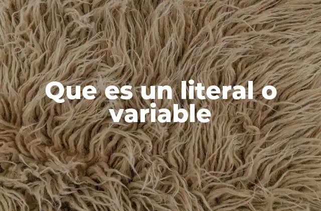 Que es un Literal o Variable
