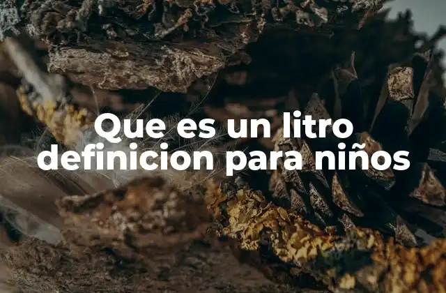 Que es un Litro Definicion para Niños