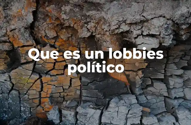 Que es un Lobbies Político