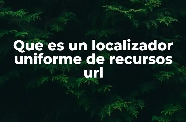 Que es un Localizador Uniforme de Recursos Url