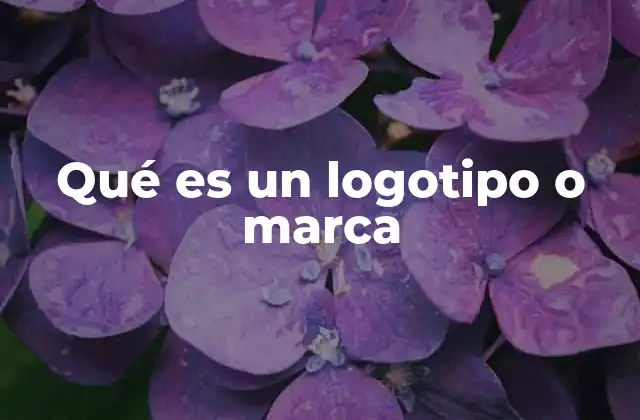 Qué es un Logotipo o Marca