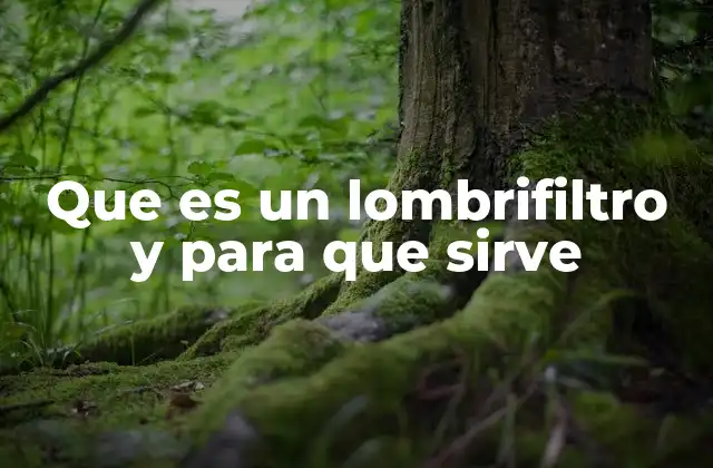 Que es un Lombrifiltro y para que Sirve