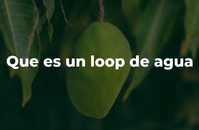 Que es un Loop de Agua