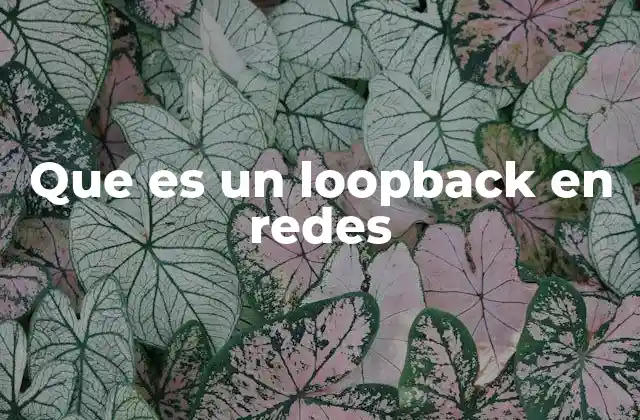 Que es un Loopback en Redes