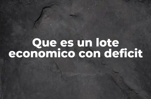 Que es un Lote Economico con Deficit