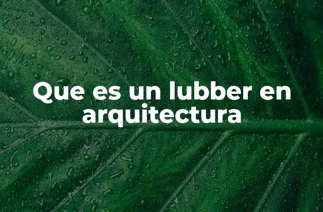 Que es un Lubber en Arquitectura 2 La importancia de los lubbers en la alineación estructural