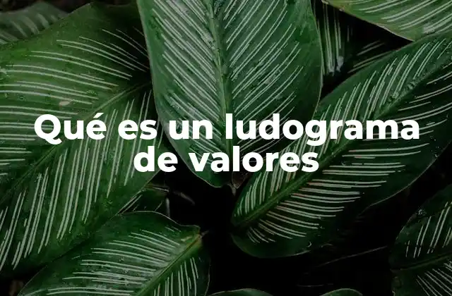 Qué es un Ludograma de Valores