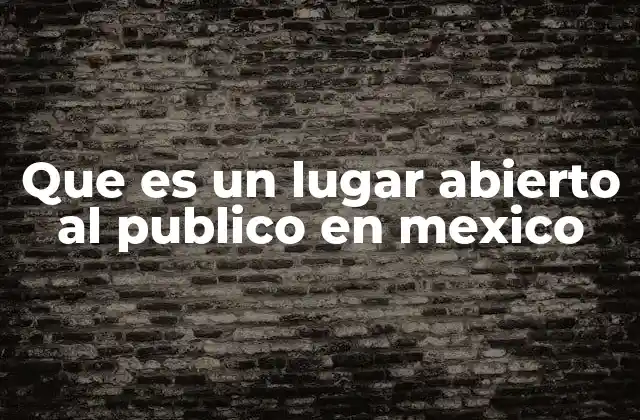 Que es un Lugar Abierto Al Publico en Mexico