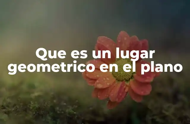 Que es un Lugar Geometrico en el Plano