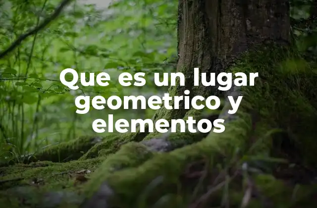 El rol de los elementos básicos en la definición de un lugar geométrico