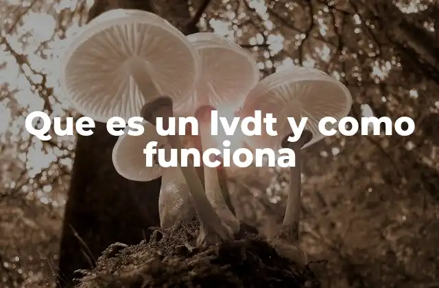 Que es un Lvdt y como Funciona