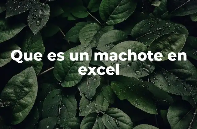 Que es un Machote en Excel