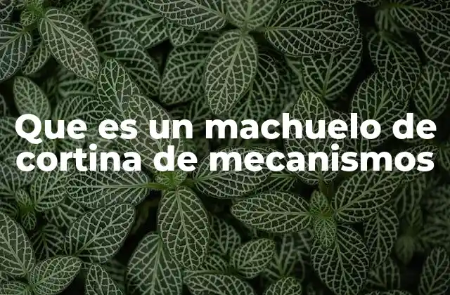 Que es un Machuelo de Cortina de Mecanismos