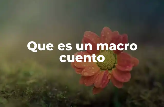 Que es un Macro Cuento