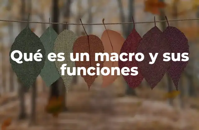 Qué es un Macro y Sus Funciones