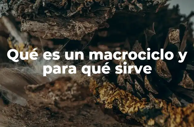 Qué es un Macrociclo y para Qué Sirve