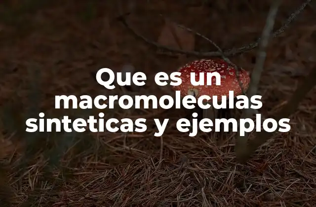 Que es un Macromoleculas Sinteticas y Ejemplos
