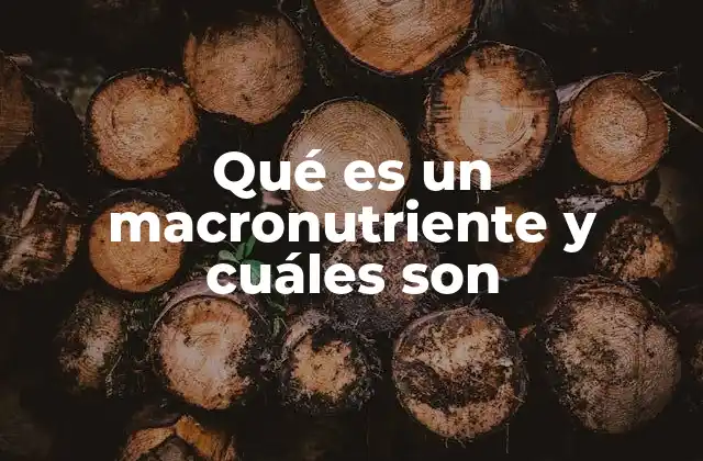 Qué es un Macronutriente y Cuáles Son 2 La importancia de los macronutrientes en la nutrición humana