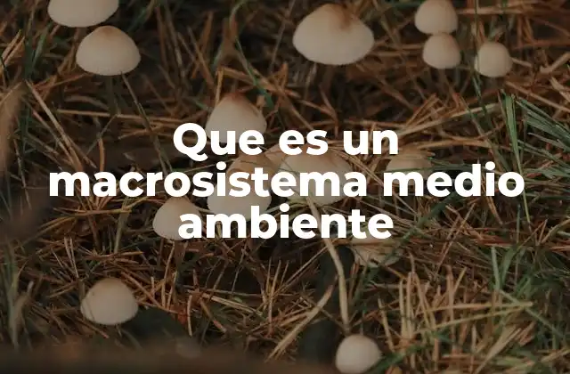 Que es un Macrosistema Medio Ambiente