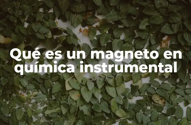 Qué es un Magneto en Química Instrumental